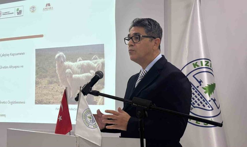 Kızılcahamam’da ortak akıl: Ankara keçisinin üretim ve gelecek rotası