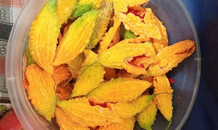 Pazarlarda dikkat çeken şifalı kudret narı Aydın'da tezgahları süslüyor