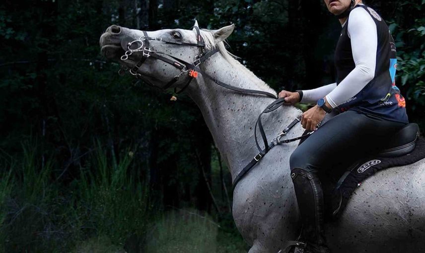 Oğuz Alper Öktem milli takımda: Romanya'da Balkan şampiyonasına hazırlanıyor