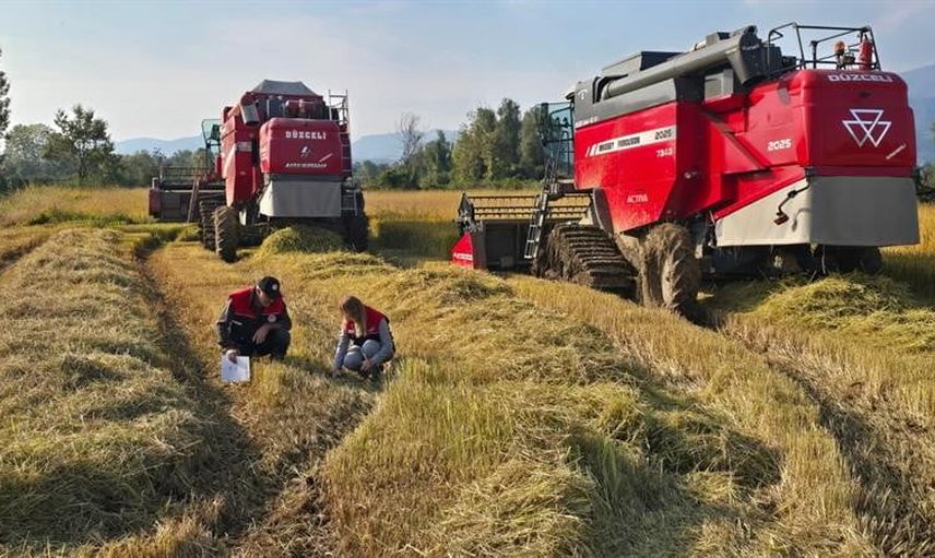 Düzce'de hasatta kaybı önleme seferberliği: biçerdöver denetimleri hız kazandı