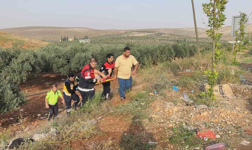 Cilvegözü sınır kapısı yakınında tır zeytin bahçesine uçtu
