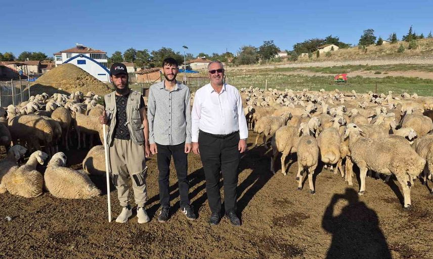 Devlet desteğiyle köyden işletmeye: Yozgat'ta bir ailenin koyunculuk dönüşümü