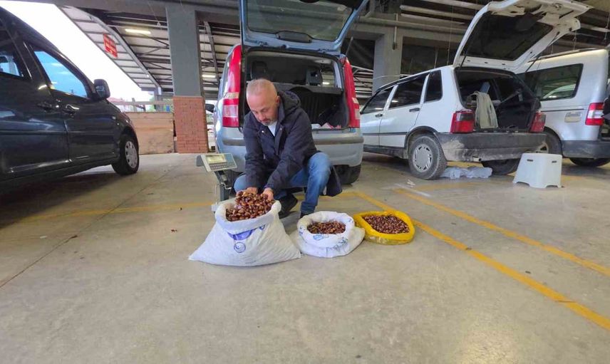Düzce'nin coğrafi işaretli kestanesi yeni sezonda rağbet görüyor