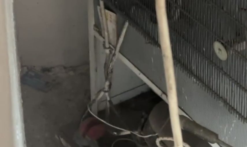 Çankırı'da dükkana giren yılan, itfaiyenin titiz müdahalesiyle doğaya döndü