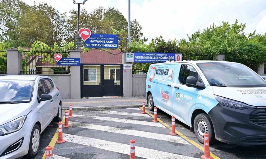 Bahçelievler'den 9 ayda sokak hayvanlarına 28 bin 600 poliklinik hizmeti