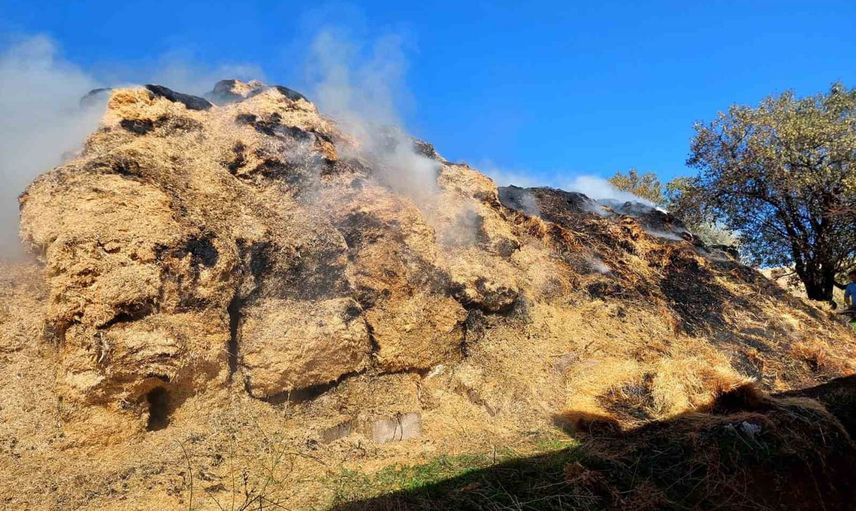 Mısırlı köyünde çıkan yangında 1.150 balya kül oldu