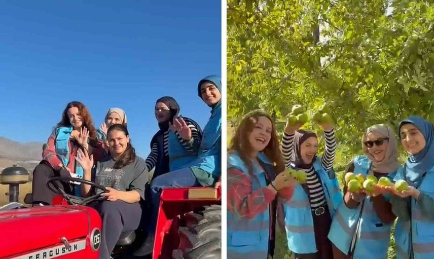 Erzincanlı öğrenciler Üzümlü'de bağlarda tarımı deneyimledi