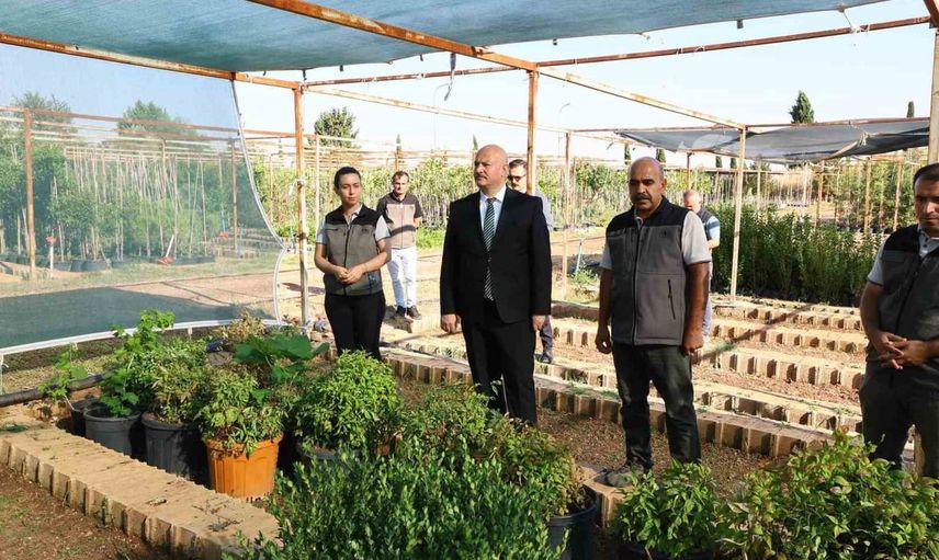 Adıyaman'da geleceğe nefes: valinin fidanlık denetimi