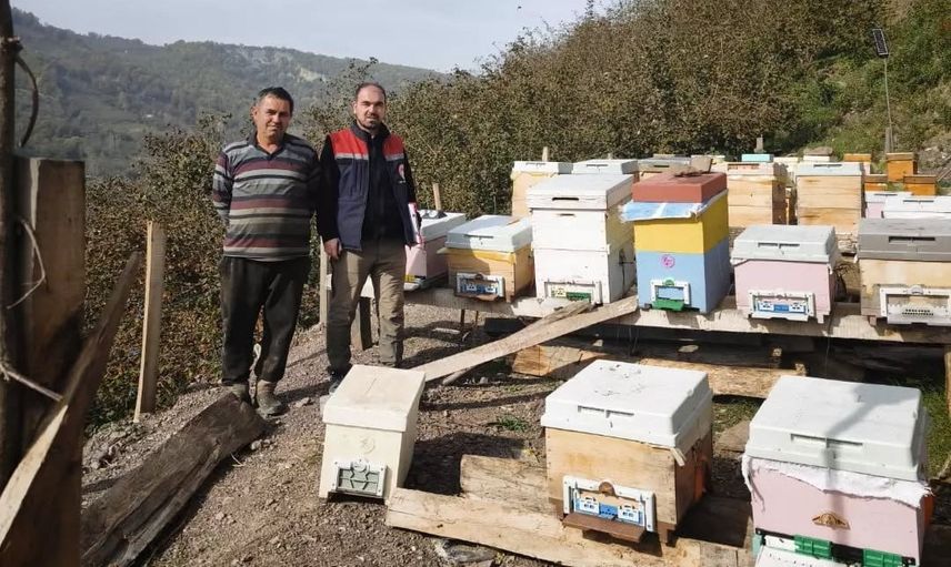 Köy köy kayıt: Yığılca'da arılı kovan envanteri tamamlandı