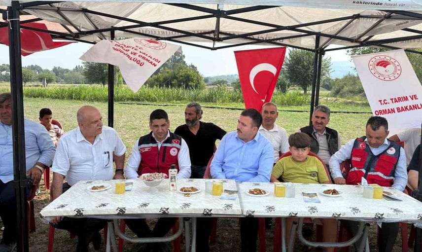 Düziçi'nde yerli ayçiçeği denemeleri hasatla sonuçlandı