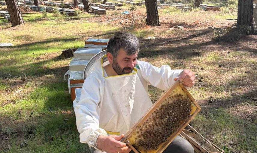 Gezgin arıcının uyarısı: mevzuata uygun bal her zaman en kaliteli değildir