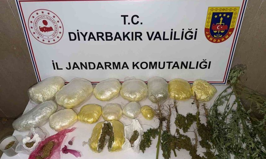 Diyarbakır kırsalında jandarmadan uyuşturucuya darbe: 59 bin 221 kök kenevir ele geçirildi