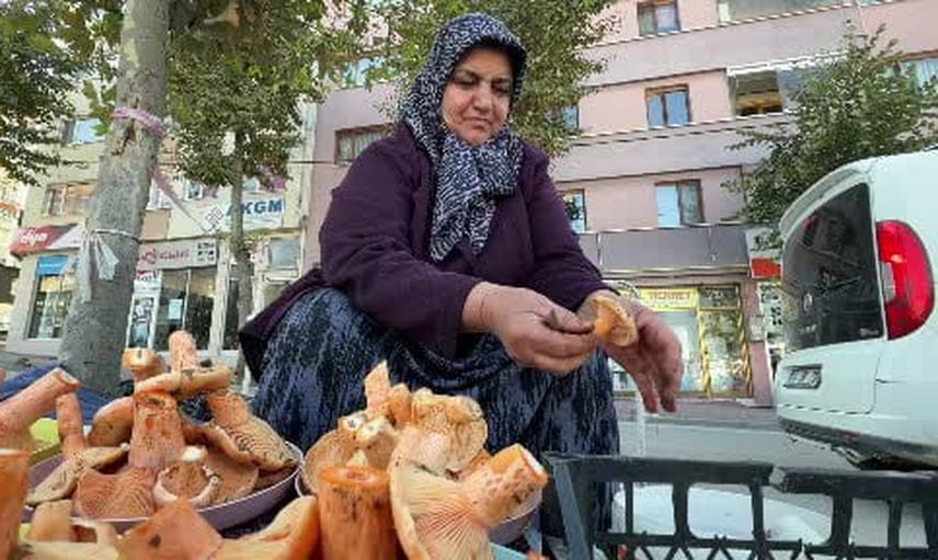 Bolu'da pazarları canlandıran kanlıca hasadı