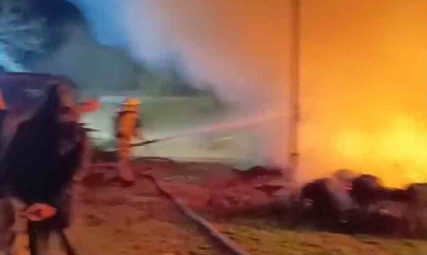 Karacabey'de gece alevleriyle mücadele: çiftlikteki hayvanlar son anda kurtarıldı
