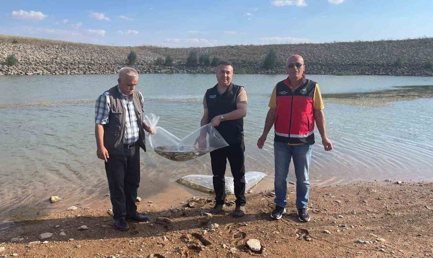Göletlerde yaşam canlandırılıyor: Beyşehir ve Hüyük'e yavru sazan salımı