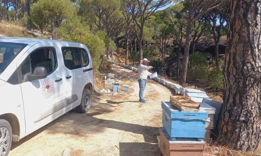 Bozdoğan'da arıcıların kovan kayıtları yenileniyor