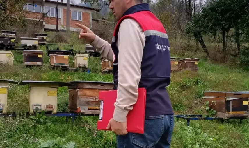 Yığılca'da veterinerler arılı kovanları tek tek kayıt altına alıyor