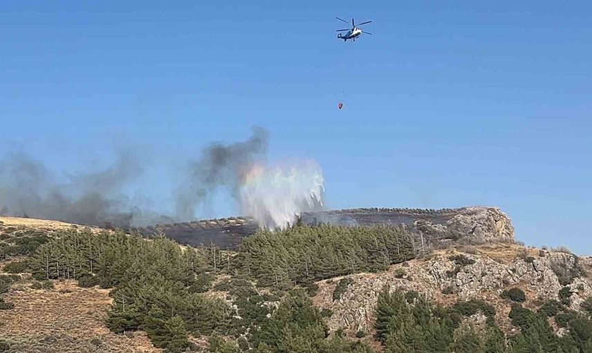 Narlıca'da zeytinlik alevlerle sınav veriyor: 5 arazöz ve 2 helikopter müdahale ediyor