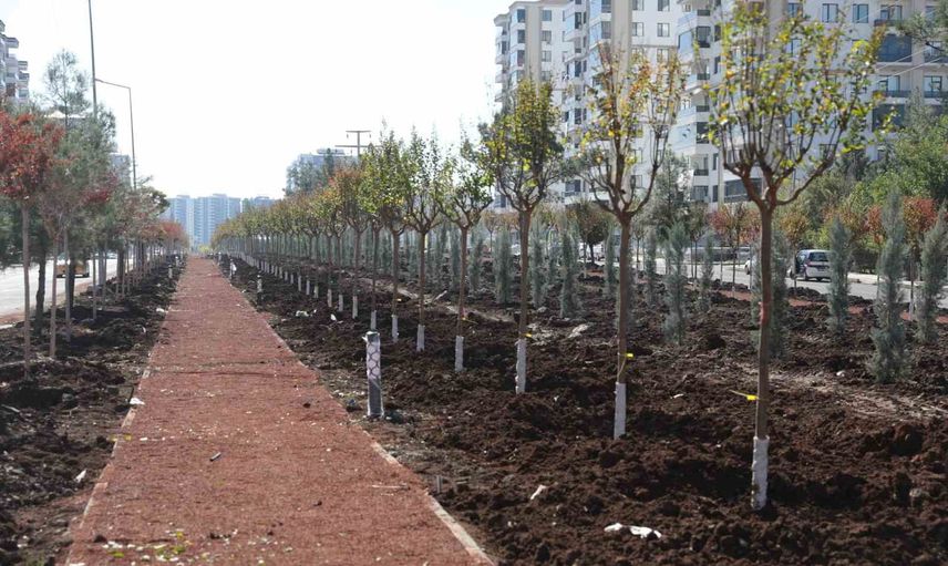 Mezopotamya Kent Parkı odağında Diyarbakır'da geniş çaplı ağaçlandırma sürüyor