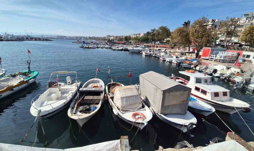 Fırtına dindi, limanlar canlandı: Tekirdağlı balıkçılar palamut avına döndü