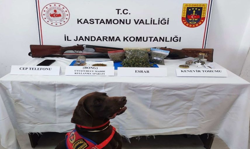 Kastamonu’da bir haftalık jandarma operasyonunda bonzai ve esrar ele geçirildi, 2 tutuklama