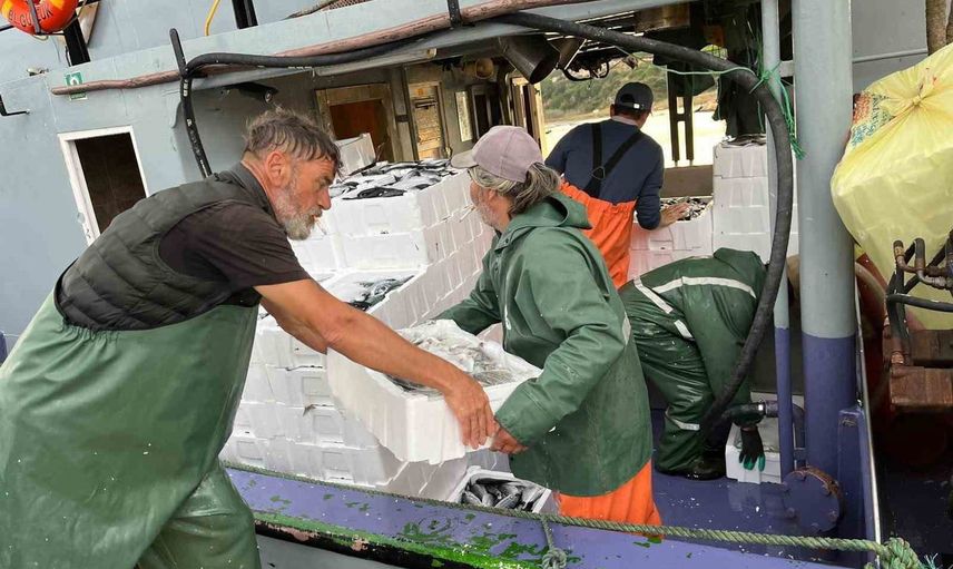Didim'de hamsi kotası denetimleri sürdürülebilir balıkçılığa odaklandı