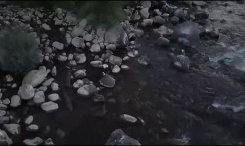 Göynük çayında nadir misafir iki su samuru dronla görüntülendi