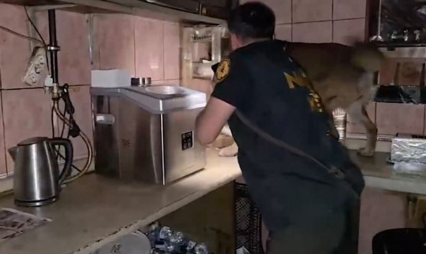 Bitlis ve Tatvan'da eş zamanlı uyuşturucu operasyonu: 11 kişi tutuklandı