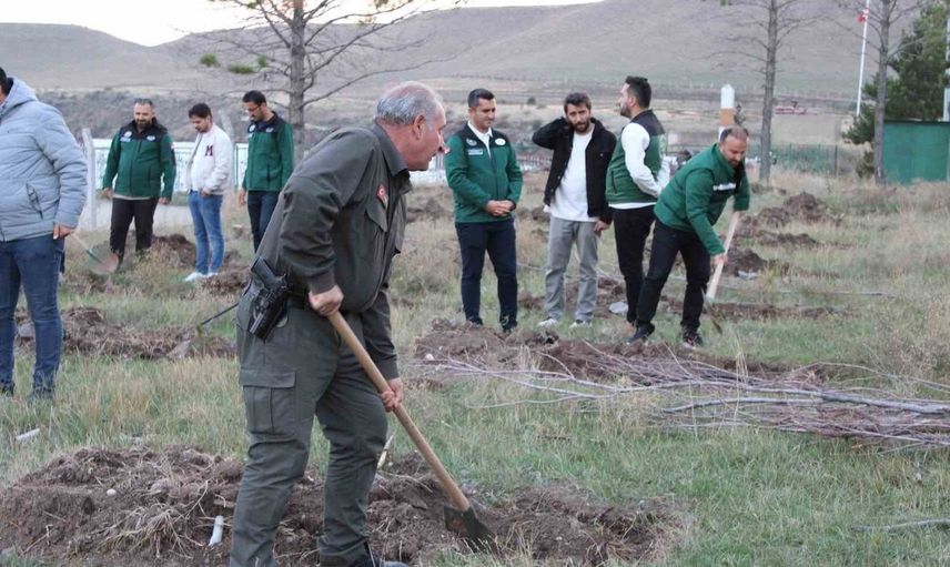 Baraj ve gölet çevreleri yeşillendiriliyor: DSİ 24. Bölge ile Erzurum Orman Bölge Müdürlüğü iş birliği başlattı