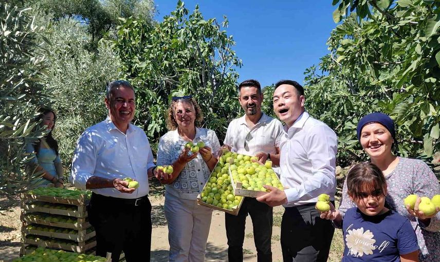 Çinli fenomen çift Buharkent'te Aydın incirinin lezzetine hayran kaldı