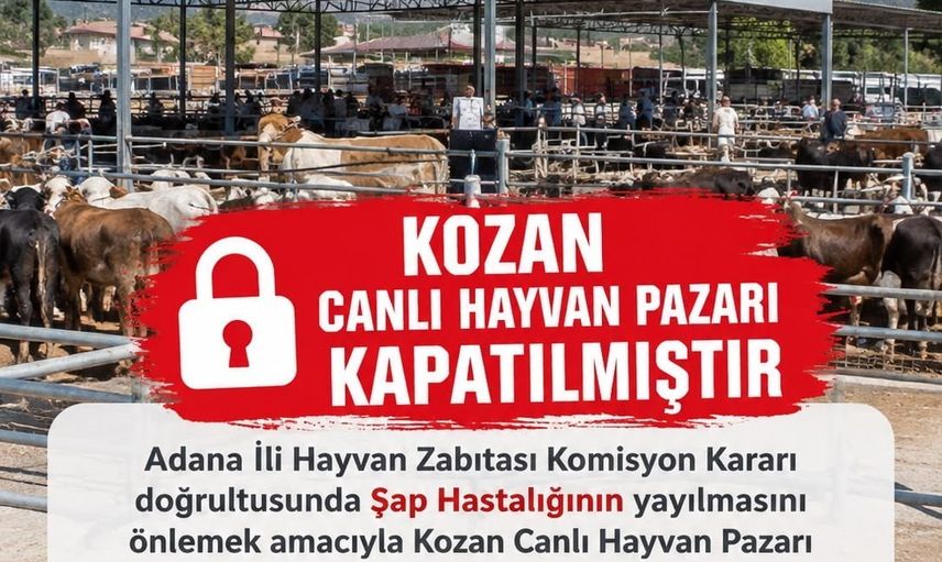 Kozan'da şap riski nedeniyle canlı hayvan pazarı ikinci emre kadar kapatıldı