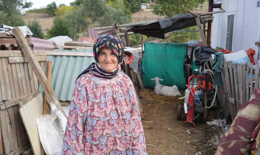 Tayakadın'da 'Casper Barınak' iddiası: sürüye saldırı, üç küçükbaş telef oldu