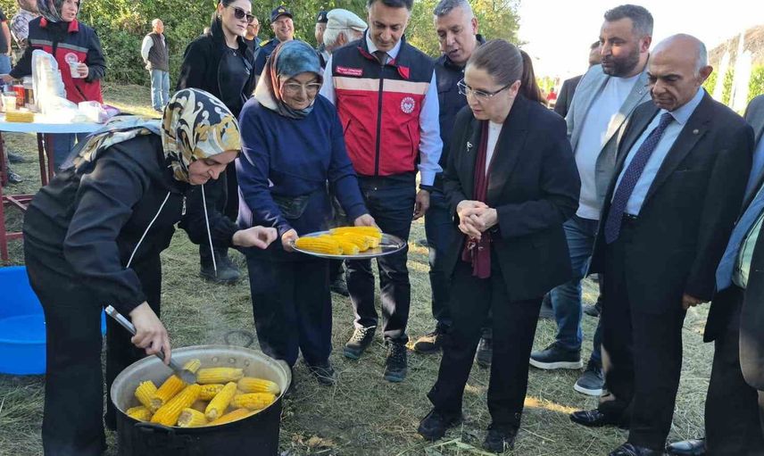 Silajlık mısır bereketi çiftçilerin yüzünü güldürdü, valiye tarlada kısa bir sürpriz oldu