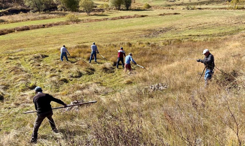 Engebede tırpanla son biçim: Ardahan'da imeceyle kapanan hasat