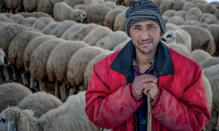 Erzincan’ın üretim hikâyeleri iki kareyle uluslararası sergide