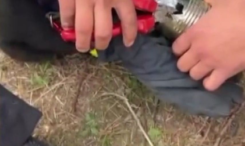 Konserve kutusuna sıkışan kedi itfaiyenin müdahalesiyle kurtarıldı