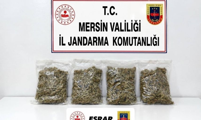 Jandarma Toroslar'da uyuşturucu ticaretine operasyon düzenledi: 2 kilo 100 gram esrar ele geçirildi