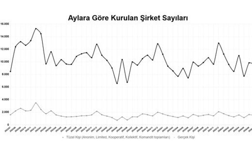 Küçük artış, büyük ayrıntı: 2026'da ilk 7 ayda kurulan şirketler yüzde 7,4 yükseldi