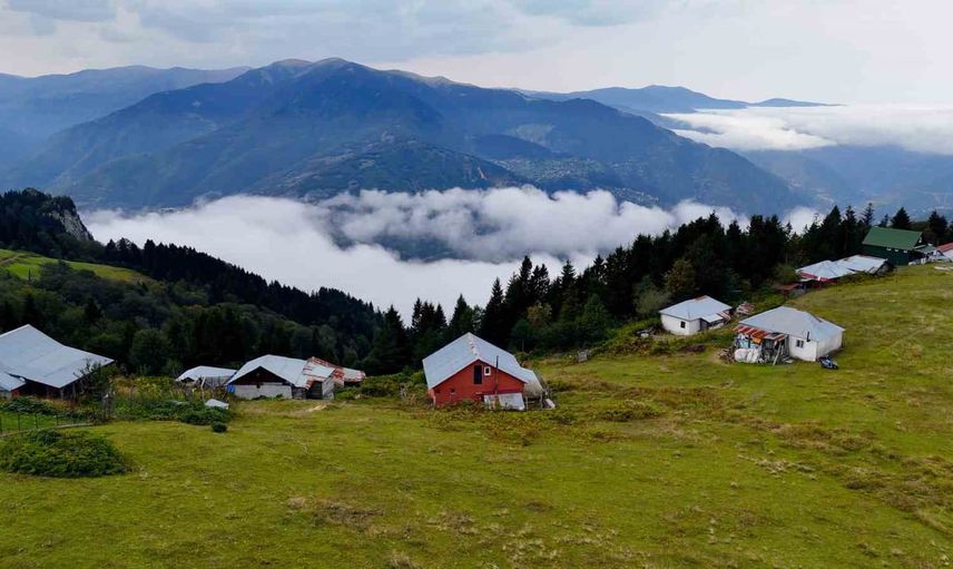 Kürtün'de vargit çiçekleri ve sis denizinin arasında 18 kilometrelik doğa yürüyüşü
