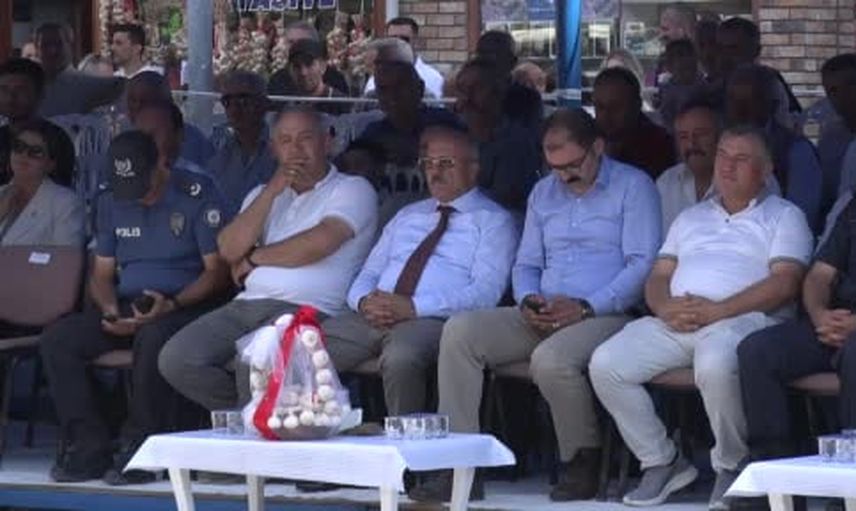 Taşköprü'de sarımsağın kokusu yarıştı: 80 demet arasından en iyi seçildi