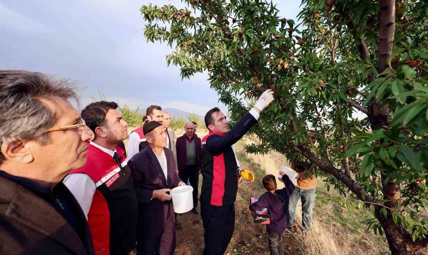 Bademin bereketi sahada: vali Karakaya Güroymak'ta çiftçilerle omuz omuza