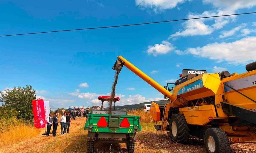 Ayçiçeği ekiminde sıçrama: Gölpazarı'nda 3 yılda 11 bin 700 dekar artış