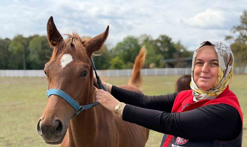 Gümüşova’da yeşilyayla’da yaban mersini ve aronya üretimi hız kazanıyor