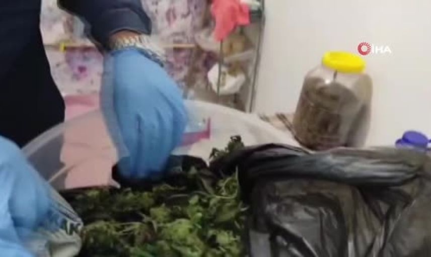 Keçiören'de binada kenevir üretimi iddiası: iki kişi tutuklandı