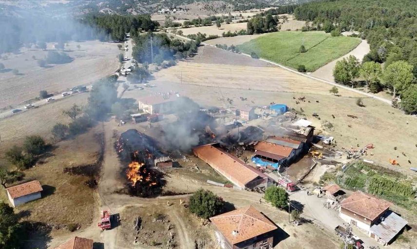 Kastamonu İhsangazi'de samanlık yangını ahırlara sıçradı, 14 büyükbaş telef oldu