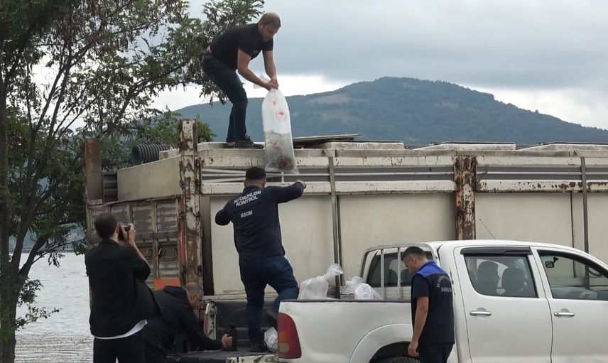 Samsun'da göl ve barajlara 1 milyon 125 bin sazan yavrusu bırakıldı