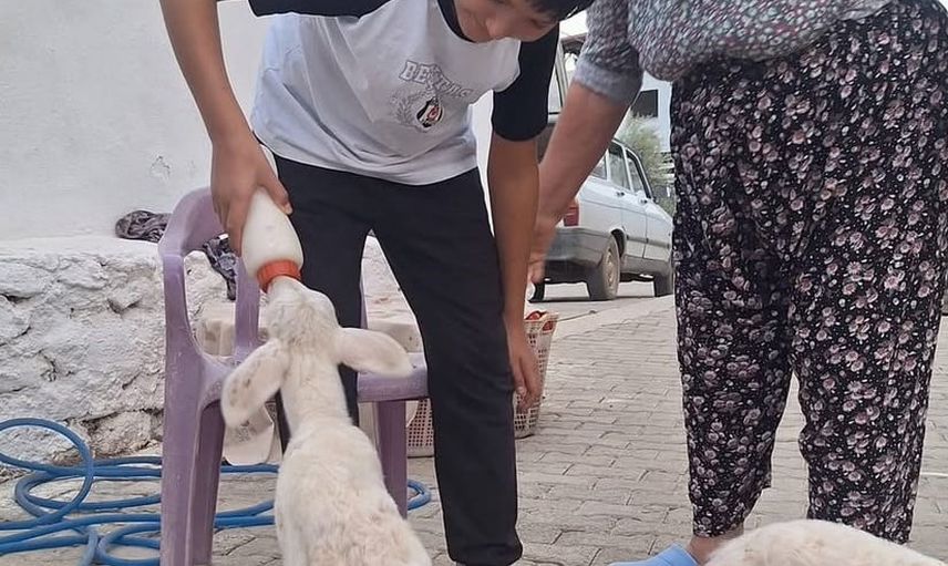 Sürpriz üçüzler: anneleri yetmeyince biberonla büyüyorlar
