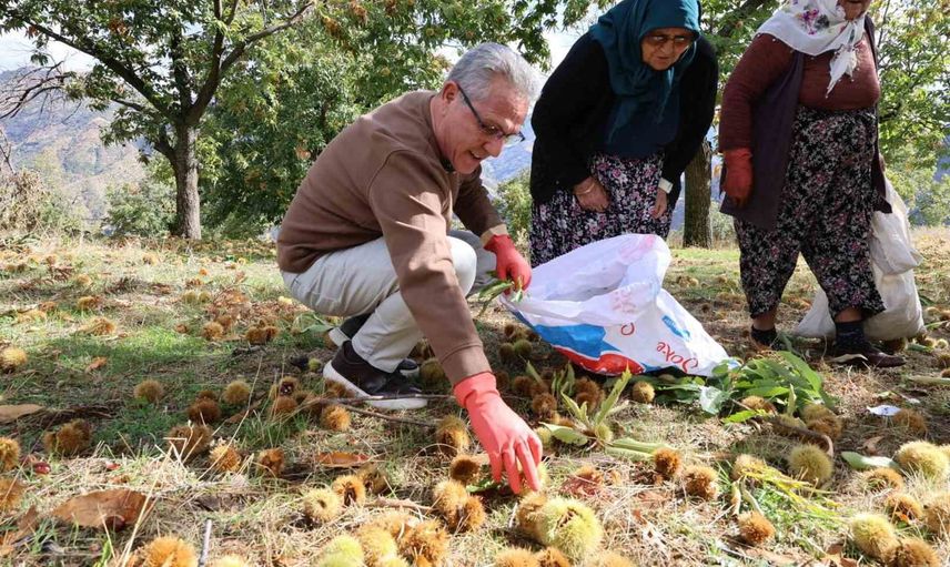 Nazilli'de başkan Tetik üreticilerle: kestanenin hakkını birlikte arıyoruz