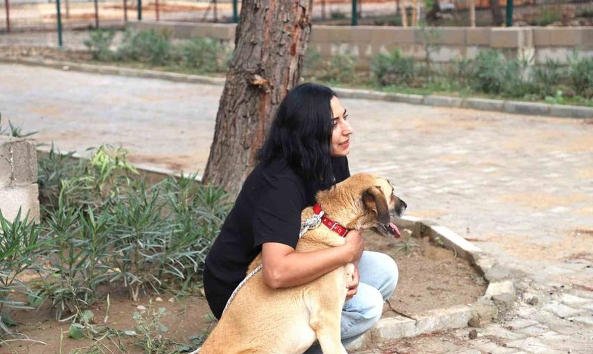 Yangından etkilenen 10 can için yeni yuva sevinci: Çilek ve Duman
