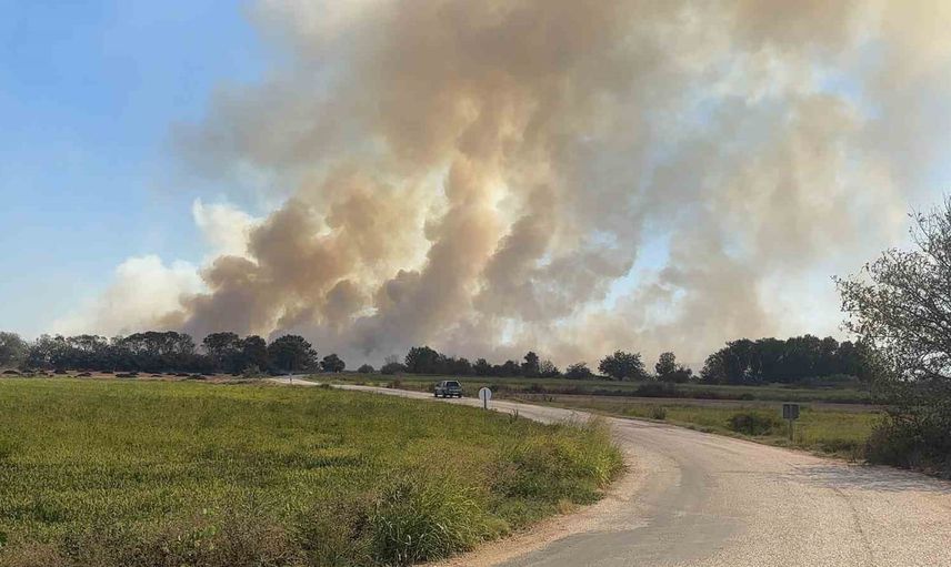 Büyükmandıra'da rüzgarla yayılan mera yangını itfaiye tarafından kontrol altına alındı